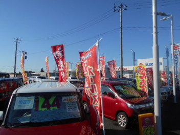 初売り第三弾最終日です！！